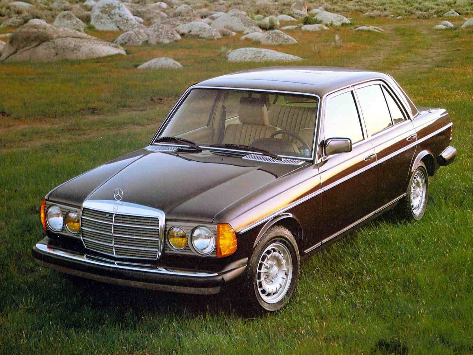 Mercedes-Benz Typ-123 Limousine, T-Limousine, Coupe (200 ...